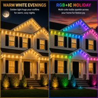 Kit de Lumières de Noël Extérieures 24V 36V IP68 Blanc Chaud Wi-Fi, Système de Rail de Décoration de Façade 30mm RGBW, Source de Lumière Ponctuelle