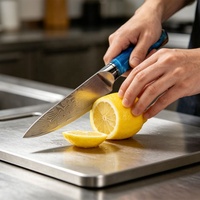 Ensemble de 7 couteaux de chef Santoku, lames en acier Damas, poignées écologiques ambidextres, finition brossée moderne