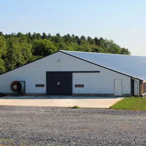 Light Frame Steel Structure Poultry Farm Shed Design Prefab Poultry House