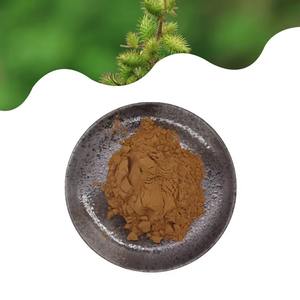 Оптовая цена, оптом, экстракт ксантия сибирский, 10:1 натуральный порошок, 99%, пищевой продукт JT - Product Image 2