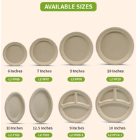 Plateau et assiette biodégradables en bagasse de canne à sucre, jetables, compostables, écologiques, sans danger pour les aliments, pour les fêtes et le camping