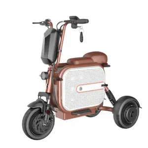 Pet Scooter Factory Direct Sale 3 Wheeled Folding Tricycle Electric Scooter 3 Wheel mobility Scooter for adult