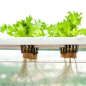 Yqdft-système de culture hydroponique pour la croissance des feuilles, légumes, littes, salade et herbes - Product Image 4