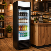 Réfrigérateur de présentation vertical économique en marbre pour boissons, avec porte vitrée transparente simple, pour jus de fruits, idéal pour les magasins