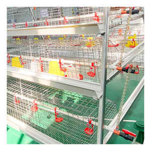 Sistema <span class=keywords><strong>de</strong></span> jaula <span class=keywords><strong>de</strong></span> batería <span class=keywords><strong>de</strong></span> polea <span class=keywords><strong>de</strong></span> pollo en granja <span class=keywords><strong>de</strong></span> cría <span class=keywords><strong>de</strong></span> aves <span class=keywords><strong>de</strong></span> <span class=keywords><strong>corral</strong></span> 3 Neumáticos/4 neumáticos A-Frame Sistema <span class=keywords><strong>de</strong></span> jaula <span class=keywords><strong>de</strong></span> batería <span class=keywords><strong>de</strong></span> polea en venta - Product Image 3