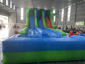 Water Slide Wholesale Commercial Tropical Dual Lane Slides for Sale Water Slide Water Park Slides for Sale Water Slide Wholesale - Product Image 4