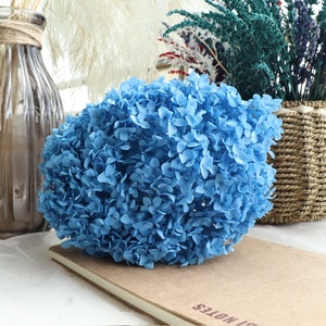Наиболее популярный консервированный белый ствол гортензии Анны на ощупь для самостоятельного изготовления цветов для всех видов праздничного декора магазина цветов - Product Image 6