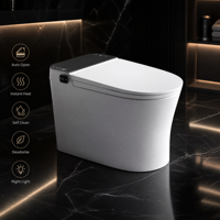 Toilette intelligente avec bidet intégré, séchoir à air chaud, siège chauffant, veilleuse et désodorisant