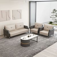 Ensemble de canapés 1+1+3 pour hôtel, appartement, salon, bureau à domicile, réception - Canapé modulable design
