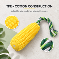 Jouet à mâcher interactif pour chien en TPR texturé, durable et écologique, avec corde en coton, pour le soin dentaire, vente en gros OEM/ODM