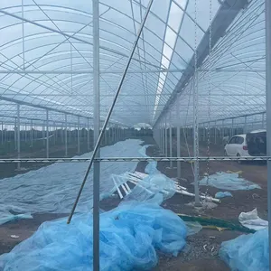 High Strength Commercial Agricultural Poly Arch Green House Tomato Plastic Film Greenhouse For Sale