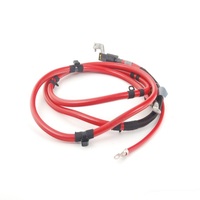 OEM ODM Rohs 준수 자동 자동차 배터리 터미널 스크류 터미널 구리 옵션 CN;FUJ KEHAN 고객 요청 PVC