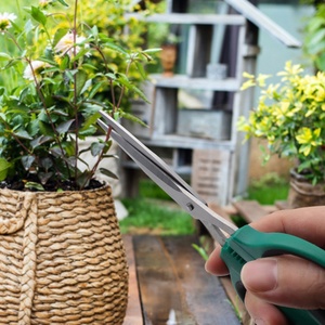 Thủy Canh Nhỏ Bằng Thép Không Gỉ Phụ Kiện Dụng Cụ Thực Vật Trái Cây Nho Orchard Ghép Cắt Tỉa Kéo Vườn Cho Hoa - Product Image 6