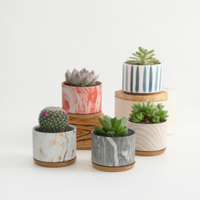 Pots de fleurs en céramique à motifs marbrés nordiques personnalisés, pots à plantes succulentes, vente en gros