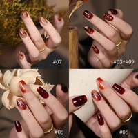 Gel UV pour ongles 12 couleurs, style Old Money, effet nuage diamant, écaille de tortue, ambre, poli, automne-hiver, translucide glacé, caramel, pour salon de manucure