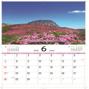 Nhà Cung Cấp Trung Quốc Bán Buôn Giấy Dây-o Ràng Buộc In Lịch Tường - Product Image 5