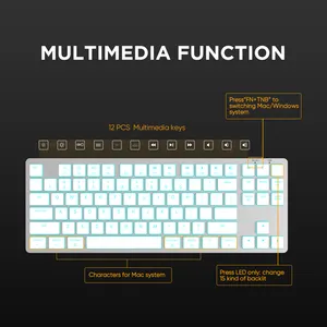 New Style White Mechanical Keyboard Rainbow And Rgb Backlit Available Multimedia Keyboard Thin Keycaps OEM IDM