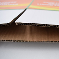 Boîte de transport en carton ondulé à double paroi, taille personnalisée, capacité de charge lourde, boîte en papier pour expédition