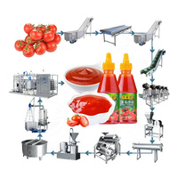 Machine de fabrication de sauce tomate entièrement automatique ORME Petite ligne de production de purée de tomates
