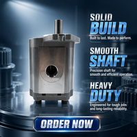Seri Zhengquan CBF pompa roda gigi hidrolik pompa minyak Aluminium tekanan tinggi pompa tekanan Booster Gear Transfer pompa industri CTO