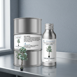 Parfum d'eucalyptus écologique, liquide longue durée pour spa et relaxation, produit WS de qualité supérieure - Product Image 4