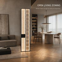Paravent en verre à LED en acier inoxydable, séparateur de pièce en verre artistique à effet d'ondulation pour hall d'entrée