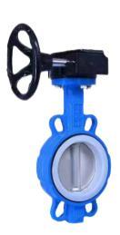 Custom High Quality Ductile Iron Clamp Type Turbine PTFE butterfly Valve - Product Image 2