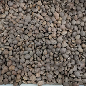 Máquina para Descascarar Nueces de Sacha Inchi, Máquina Procesadora de Sacha Inchi - Product Image 4