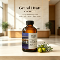 CAOH0217 Huile parfumée Grand Hyatt, parfum oriental gourmand, huile aromatique longue durée pour hall d'hôtel, diffuseur de parfum commercial