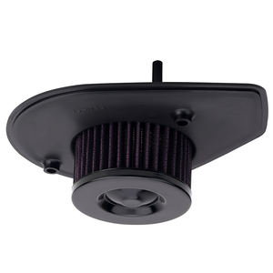 Piezas de motor de motocicleta elemento filtro de aire para <span class=keywords><strong>Harley</strong></span> <span class=keywords><strong>Davidson</strong></span> <span class=keywords><strong>Street</strong></span> XG 500 <span class=keywords><strong>750</strong></span> XG500 XG750 2015-2020 - Product Image 2