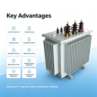 Transformateurs de puissance immergés dans l'huile à faible perte d'énergie, entièrement étanches, S11 100kVA 200kVA 630kVA 1000kVA 20KV/22KV 480V/440V