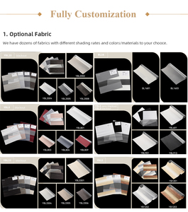 Persiana cebra de poliéster transparente, doble tela motorizada, venta directa de fábrica, persianas enrollables cebra - Product Image 4