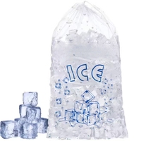Pochette transparente de qualité alimentaire pour la maison sac de congélateur à glaçons en plastique LDPE jetables congelés auto-scellants