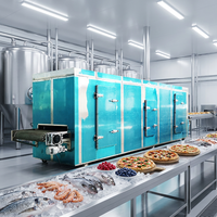 Industriële IQF Tunnelvriesinstallatie voor snelvriezen van vis, vlees, fruit, groenten, gebak en diepvriesproducten.