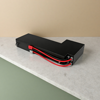 Pack de batteries LiFePO4 personnalisé 12V-1000V 10Ah-1000Ah, qualité industrielle, batterie de stockage au lithium multi-scénarios