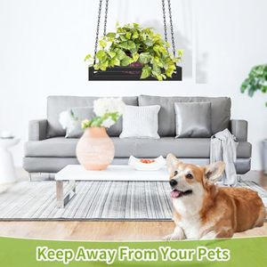 Nouvelle <span class=keywords><strong>jardinière</strong></span> suspendue en métal enduit noir de qualité supérieure Look moderne pour la maison et l'hôtel pour l'application d'intérieur et de jardin - Product Image 2