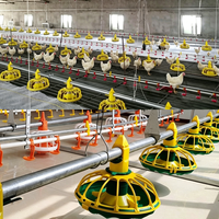 Équipement d'élevage avicole automatique en plastique pour poulailler de poulets de chair