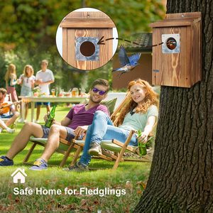 Gemakkelijk Schoon Te Maken Stevige Vogelhuisjes Geschikt Voor Houten Geneste Dozen Voor Buiten Vogelhuishout - Product Image 6