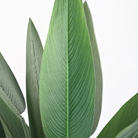 Lys artificiel en canna de 140 cm, 2 sections, haute qualité, 20 feuilles de soie détachables, plante verte artificielle pour la décoration de la maison, de l'hôtel ou du hall.