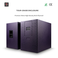 Subwoofer professionnel de 21 pouces, 3000 W de puissance de pointe, enceintes de concert en plein air, système audio PA de haute puissance pour événements sur scène, haut-parleur de basses