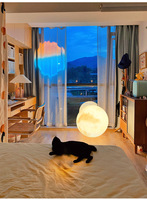 Lustre LED en acrylique Moon Planet, luminaire artistique d'intérieur, lampe boule à lumière chaude, contrôle par câble, luminaire tendance