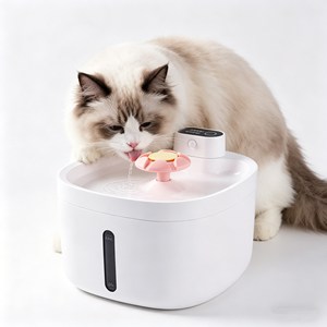 Oval Modern 2.6L <b>Filter</b> System Pet <b>Water</b> Fountain Lightweight Portable Cat Dog <b>Water</b> Dispense - Product Image 1