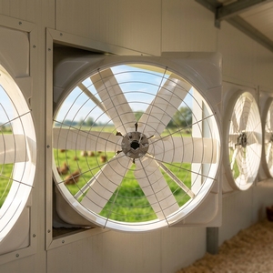 Ventilateurs axiaux en fibre de verre JTX-F660 FRP pour élevages avicoles, ventilateurs pour poulaillers - Product Image 5