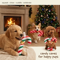 Jouets pour chiens en peluche écologiques en forme de canne à sucre de Noël, couineurs interactifs, à mâcher, pour la dentition des chiots, durables, doux, cadeau pour animaux de compagnie, remplissage de chaussette de Noël