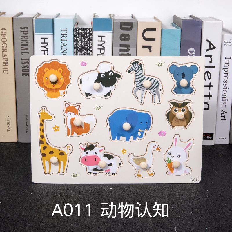 [a011] animal cognition