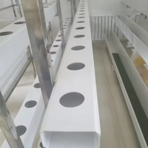 Type a NFT Hydroponic Channel System Large Size with Automatic Control and Low Price - Product Image 5