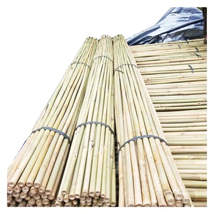 Palo de bambú para materias primas de jardín para hacer soporte de flores, para plantar y decorar 270cm 24/26mm - Product Image 4