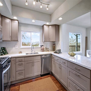 <span class=keywords><strong>Cucina</strong></span> modulare semplice della piccola <span class=keywords><strong>cucina</strong></span> della porta dell'agitatore della pittura della lacca opaca <span class=keywords><strong>con</strong></span> il tavolo dell'isola per il progetto - Product Image 2