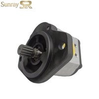 Pompe à engrenages externe Rexroth série N, corps en fer haute pression, pompe hydraulique compacte 250-280 bars pour micro-unité de puissance