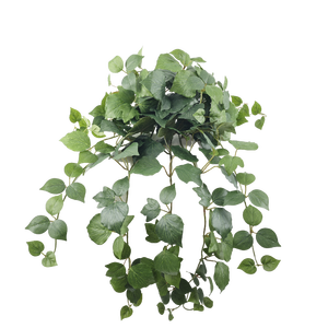 Plantas colgantes artificiales Pequeñas plantas artificiales en maceta flores decorativas coronas y plantas - Product Image 3